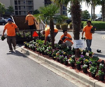 about pensacola landscaping contractor