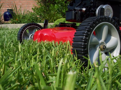 Three Ways To Go Green With Your Pensacola Landscaping Service