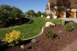 Types Of Landscape Design Projects