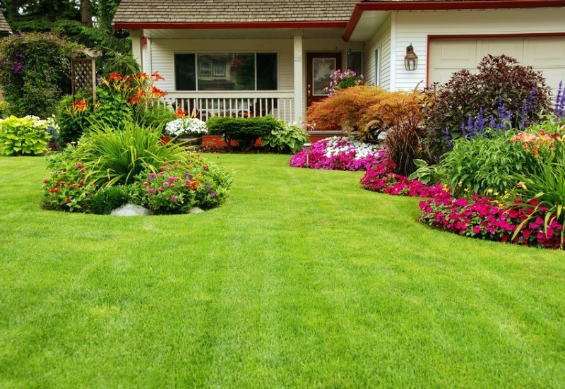 Milton Landscaping Contractor