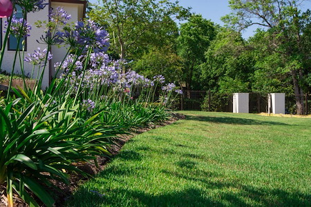 How Lawn Care Helps Prevent Weeds, Bare Spots, and Thin Grass