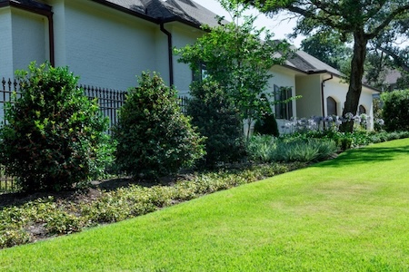 Weed Control Strategies That Protect Your Landscaping All Year Long