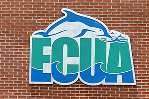 ECUA
