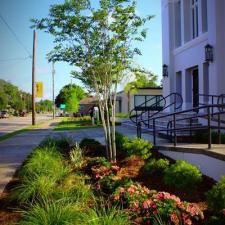 Pensacola Landscaping Temple Beth El 12