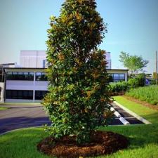 Pensacola Landscaping Temple Beth El 6