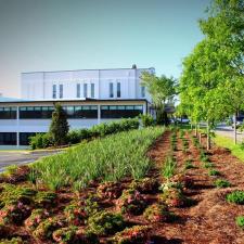 Pensacola Landscaping Temple Beth El 8